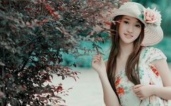 野花韩国高清免费神马百度